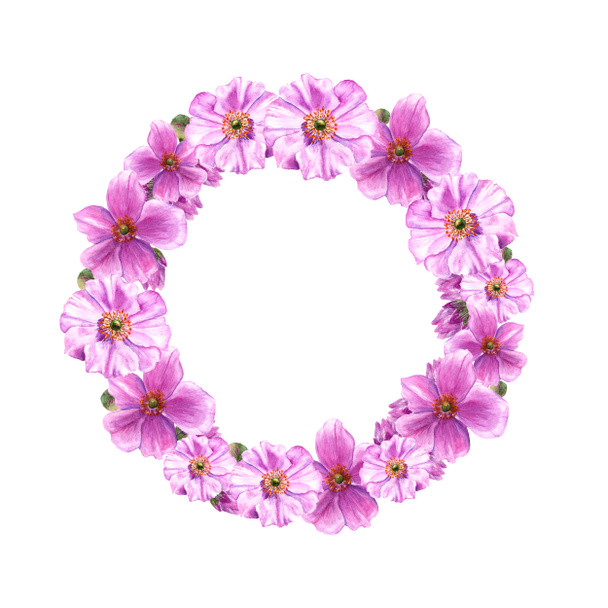 Easter wreath with anemone flowers and buds. Round border. Watercolor illustration on white background - Фото, изображение