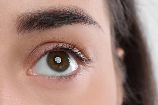 Young woman with beautiful natural eyelashes, closeup view - Фото, изображение