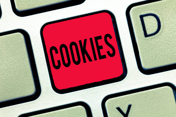 Écriture manuscrite de texte Cookies. Concept signifiant Biscuit sucré Dessert Délicieux Snack Petit gâteau levé
 - Photo, image