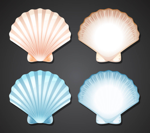 Set of scallop seashell illustration - Vector, Image