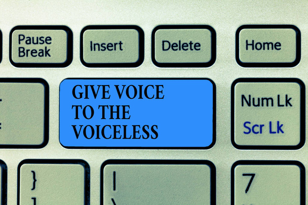 Signo de texto que muestra Give Voice To The Voiceless. Foto conceptual Habla en nombre de Defiende a los vulnerables
 - Foto, imagen