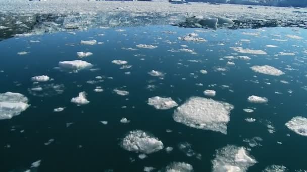 topniejący lód lodowcowy w ruchu wody - Materiał filmowy, wideo