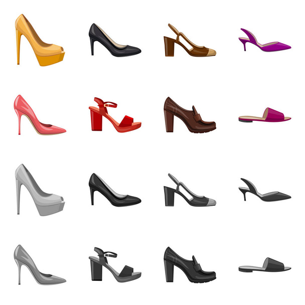 Vector illustration of footwear and woman sign. Set of footwear and foot vector icon for stock. - Вектор,изображение