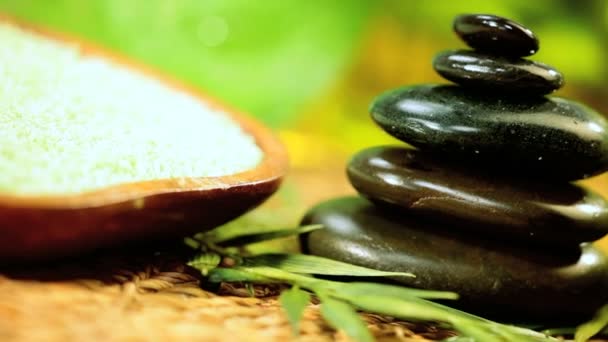 fekete spa kövek, tisztító sók & zöld levelek - Felvétel, videó