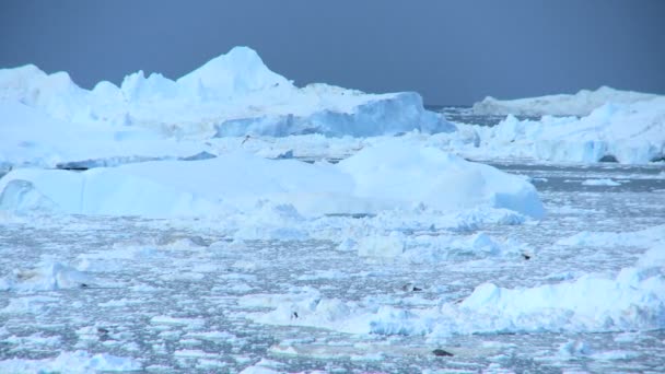 Panoráma kilátás nyílik az északi-sarki jéghegyek - Felvétel, videó