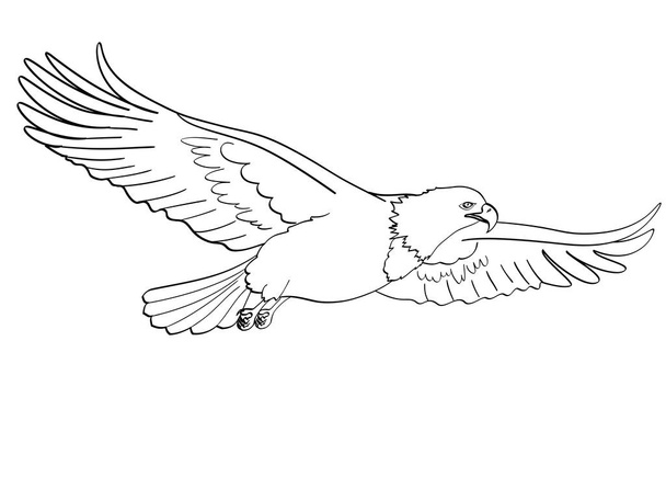 Bird eagle, falcon. Raster of an imitation retro comic style. isolated object on white background. Book coloring for children - Φωτογραφία, εικόνα