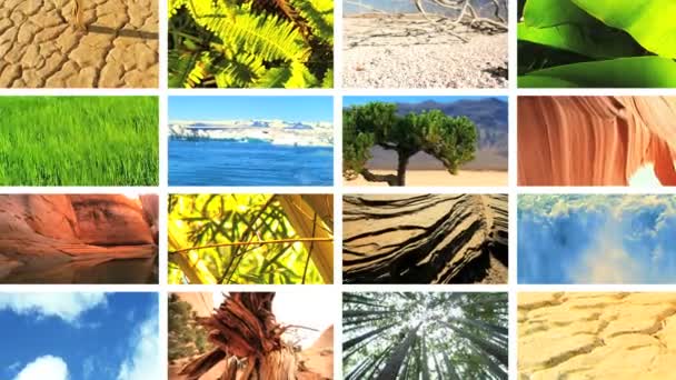 Montage beelden van tropische vegetatie & kale omgevingen - Video