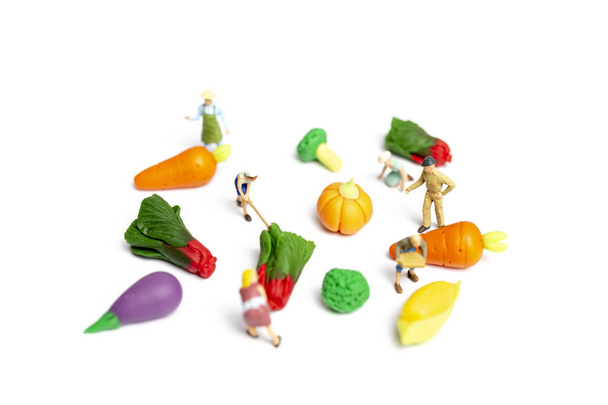 Miniatyyri ihmiset: Puutarhurit Sadonkorjuu vihanneksia valkoisella pohjalla, Maatalouden käsite
  - Valokuva, kuva