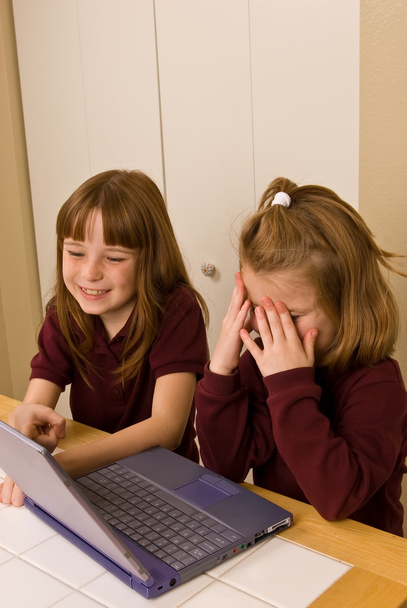 Дві молоді дівчата працюють на портативному комп'ютері
 - Фото, зображення