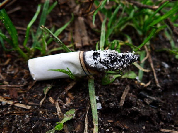 Спалена сигарета лежить на траві в землі
 - Фото, зображення