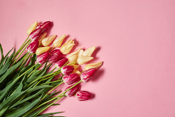 Yellow and pink tulips on pastel paper background, copy space. Spring minimal concept. Greeting card for Womens Day, Mothers Day, Valentine Day, Easter, birthday. Nature background. Flatlay, top view - Photo, image