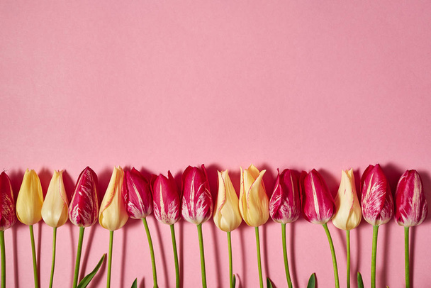Yellow and pink tulips on pastel paper background, copy space. Spring minimal concept. Greeting card for Womens Day, Mothers Day, Valentines Day, Easter, birthday. Nature background. Flatlay, top view - Foto, Bild