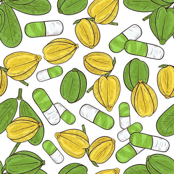 Arjuna. Fruit, leaves, capsule. Seamless, texture, background, wallpaper. Sketch. Color - Vector, Image