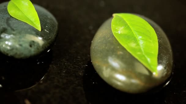 Black Spa Therapy Stones - Footage, Video