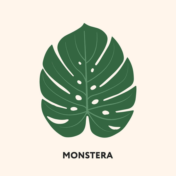Monstera Tropical Jungle Plant Green Big Palm Leaf. Flat Vector Illustration Isolated on White. - Vektör, Görsel
