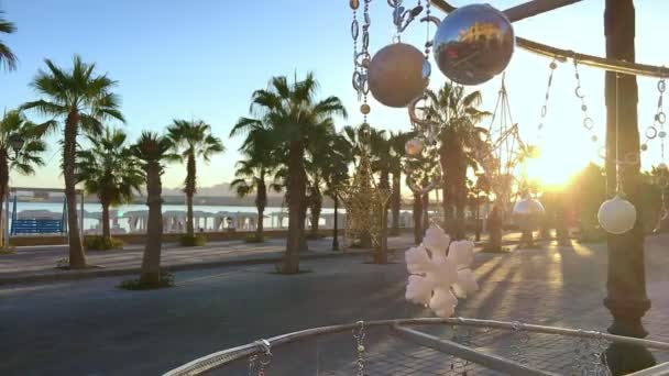 Vánoční stromeček s palm pozadí a moře - Záběry, video