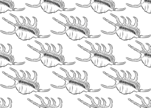 seamless pattern Lambis Scorpion conch Chicoreus aculeatus, large sea snail Unique shells, molluscs Gastropoda. Sketch black contour on white background. Vector illustration - Вектор, зображення