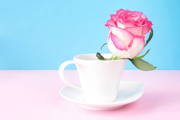 Close up of pink rose in white cup - Foto, imagen
