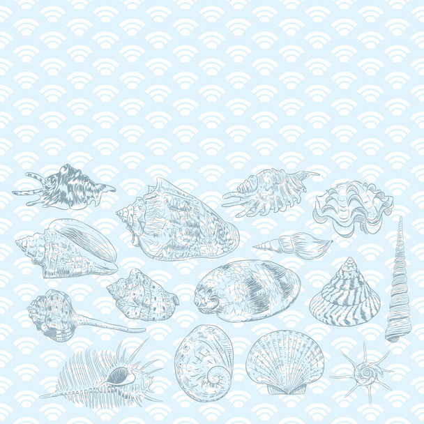 Summer concept with Unique museum collection of sea shells rare endangered species, molluscs black contour on blue background. card banner design with space for text. Vector illustration - Vector, Image