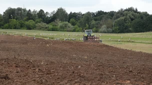 traktor szántás mező gólya madarak repülnek el - Felvétel, videó