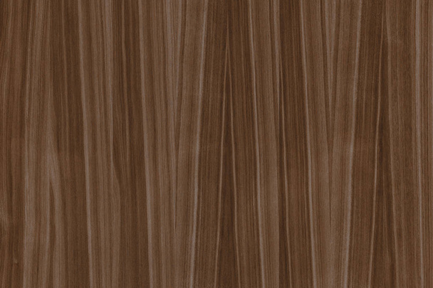 dark brown walnut timber tree wooden surface structure texture background - Photo, Image