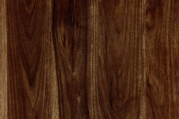 dark brown walnut timber tree wooden surface structure texture background - Fotografie, Obrázek