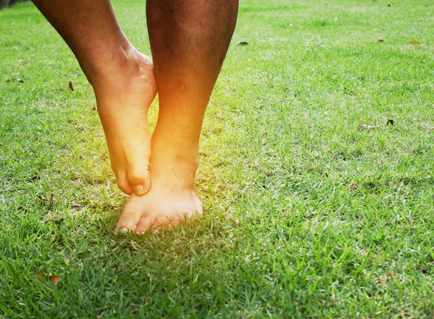 Svědění z nohou houba na trávě v parku. - Fotografie, Obrázek