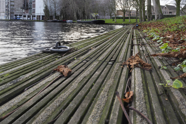 Kastanienbäume in der Nähe von Kanalwasser und umgestürztem Laub  - Foto, Bild