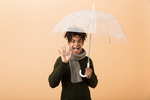 Portrait of a happy young african man dressed in sweater and scarf isolated over beige background, standing under umbrella, showing ok - Zdjęcie, obraz