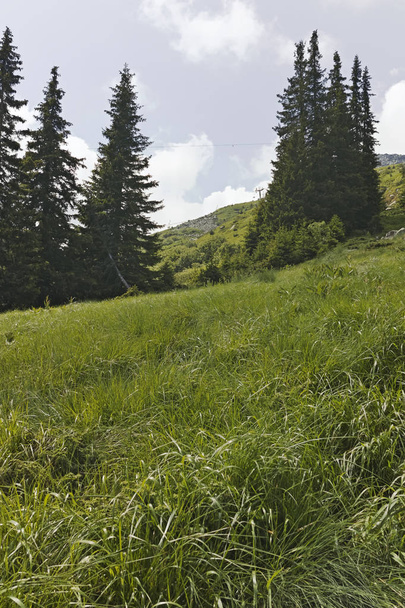 Krajina z pěší stezka pro Cherni Vrah vrchol v pohoří Vitoša, Region města Sofia, Bulharsko - Fotografie, Obrázek