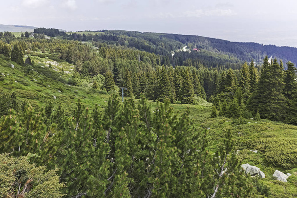Τοπίο από πεζοπορία μονοπάτι για Λόζενετς στη κορυφή βουνού Βίτοσα, πόλη περιοχή Σόφιας, Βουλγαρία - Φωτογραφία, εικόνα
