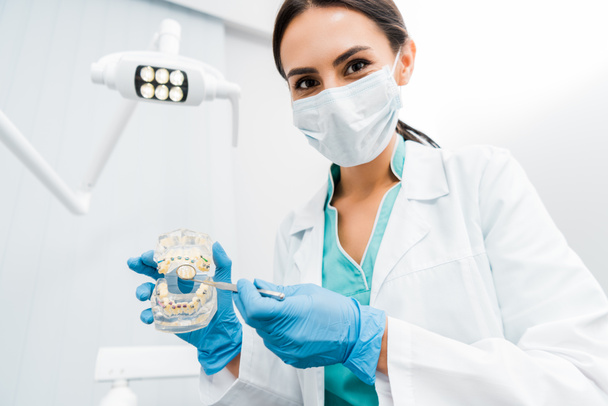 estomatóloga femenina mostrando modelo de mandíbula dental con frenos
  - Foto, Imagen