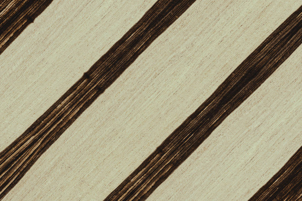чорне дерево африканська структура текстури фону поверхні шпалери
 - Фото, зображення