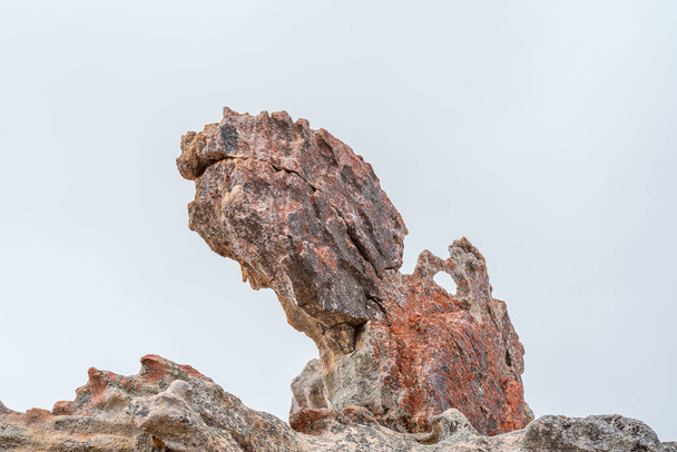 Делікатні гірські утворення в Труітцєскраалі в горах Седербергу провінції Західний Капп. - Фото, зображення