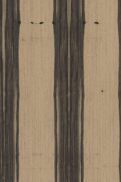 afrikai ében fa fa szerkezet textúra háttérképet - Fotó, kép