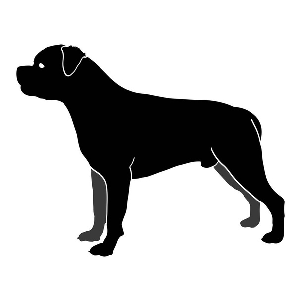 Dog Rottweiler breed. Silhouette - Vector, Image
