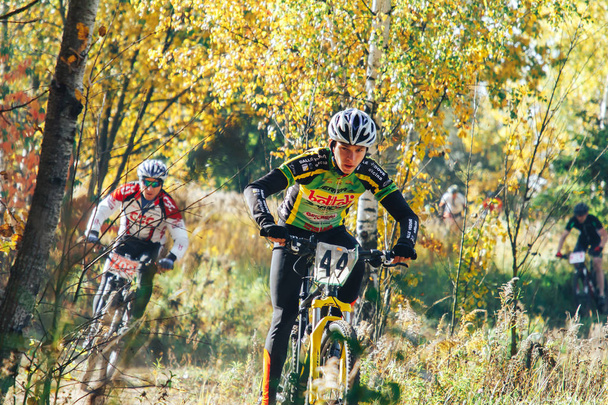 October, 14, 2018 - Minsk, Belarus: 2018 Olympic Cross Country Cup XCO in Medvezhino, men riding bicycles along forest trail - 写真・画像