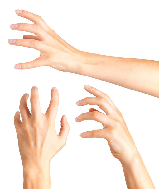 Žena ruce křivé prsty ukazující kouzelnický trik nebo držení míče. S ořezovou cestou, samostatný. - Fotografie, Obrázek