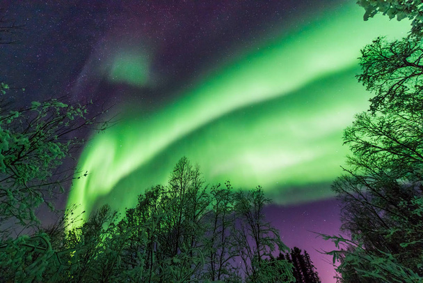 Полярних арктичних Північним сяйвом Полярне сяйво неба зірки в Скандинавії Тромсе Норвегії в ферми зимовий ліс засніжені гори  - Фото, зображення