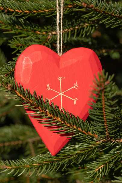 Красивая открытка с новым 2019 годом и ветви елки с красным сердцем льна в лучах зимнего солнца, с копировальным пространством
 - Фото, изображение