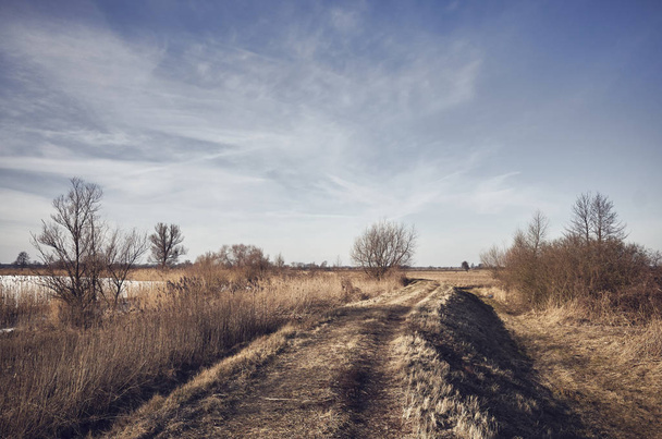 Paysage rural avec un chemin, image tonique de couleur
. - Photo, image