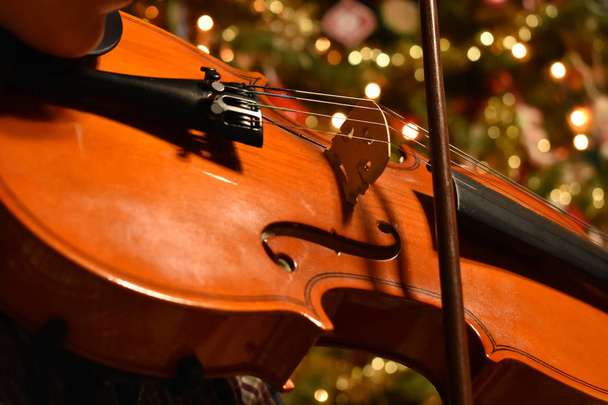 horizontální mladého člověka, hraje na housle s vánoční strom v pozadí - Fotografie, Obrázek