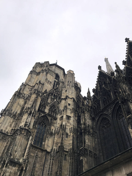 Stephansdom (katedrála sv. Štěpána) v centru Vídně (Wien), Rakousko - Fotografie, Obrázek