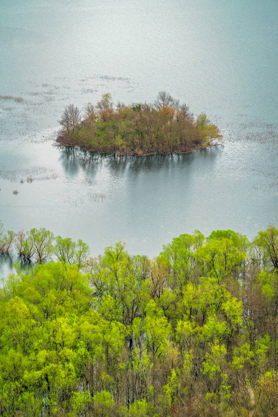 Gromada zielonych drzew na małej wyspie nad jeziorem Skadar, Park Narodowy Jezioro Skadar, Czarnogóra - Zdjęcie, obraz