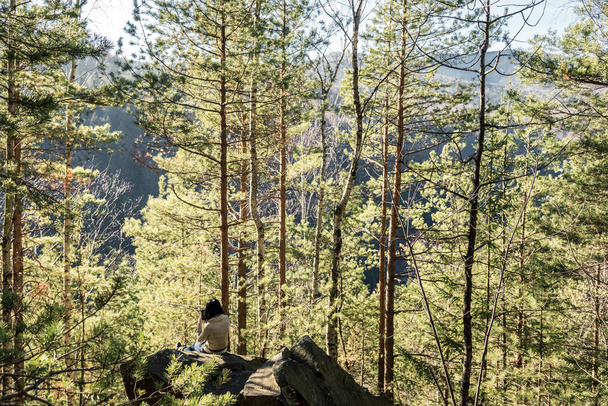 хвойний ліс дерев з повним каркасним стежкою
 - Фото, зображення