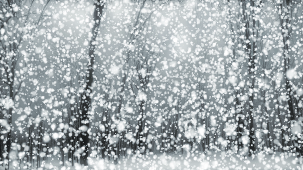 magisches Schneegrau / / 4k atmosphärische poetische Winter-Video-Hintergrundschleife. ein verschneiter Winterwald mit traumhafter Optik. Tolles stimmungsvolles Hintergrundvideo, das sich besonders für die Weihnachtszeit eignet. wie bei allen meinen Clips, seine perfekt und nahtlos - Filmmaterial, Video
