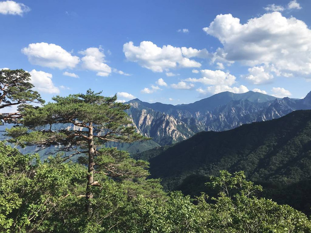 Η θέα στα όμορφα βουνά από η ψηλή κορφή. Seoraksan εθνικό πάρκο. Νότια Κορέα - Φωτογραφία, εικόνα