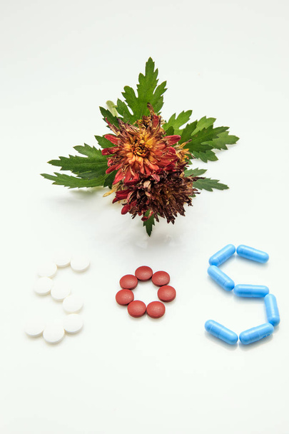 φάρμακα σε λευκό φόντο - Φωτογραφία, εικόνα