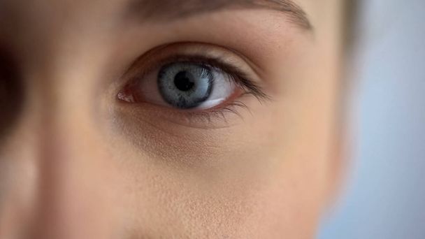 Ellenőrzése a látás, a szemész a klinikán, kék szemű nő úgy néz ki, a kamera - Fotó, kép