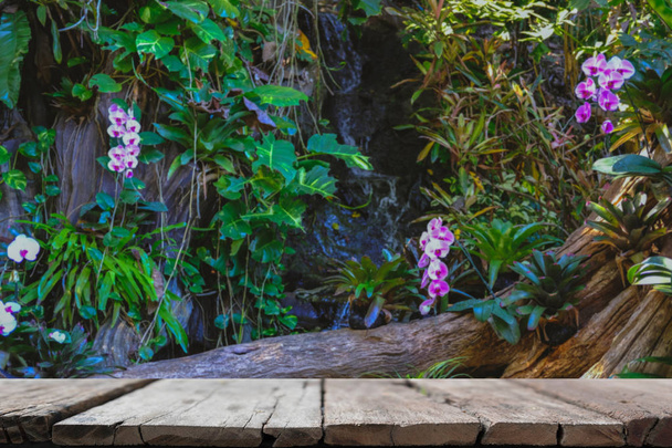 flor de la orquídea en fondo de la cascada del jardín con la tabla de madera para el producto del montaje de la exhibición
 - Foto, Imagen
